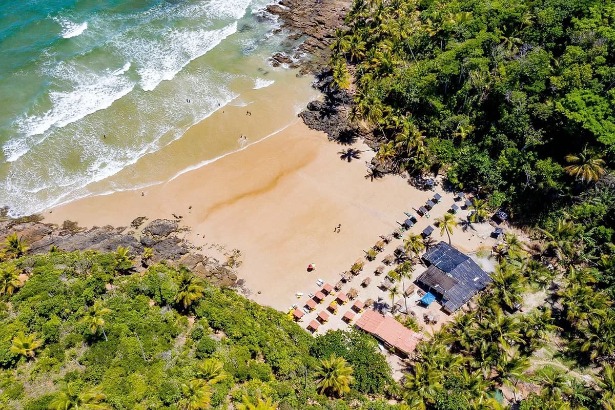 Praia do Havaizinho em Itacare com coqueiros e mar