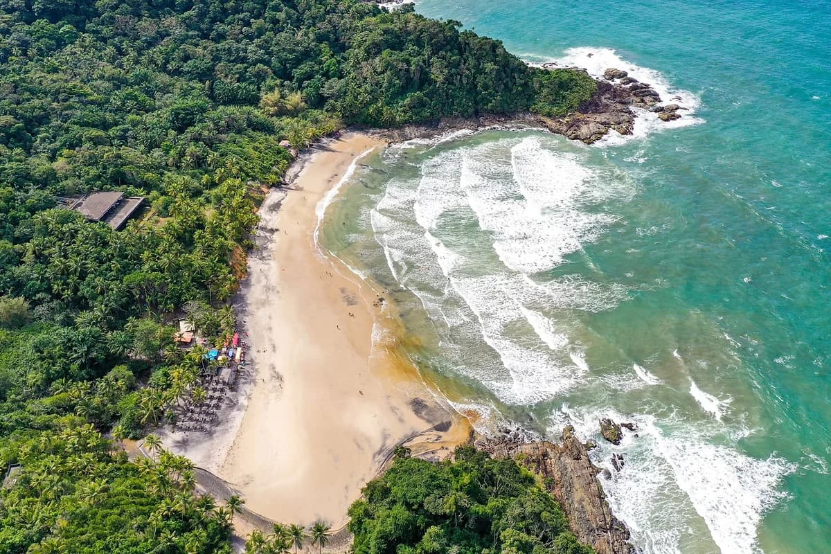 Praia da Engenhoca em Itacare com mar e vegetacao